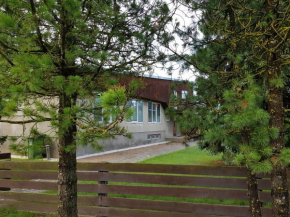 Viirpuu puhkemaja in Kuressaare
